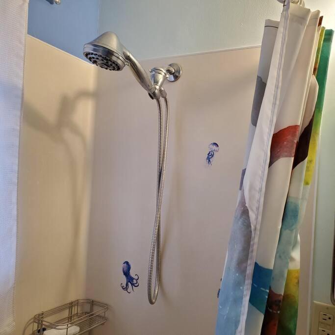 Sweet 2 Bedroom Close To U Of Oregon & Track! Юджин Екстер'єр фото