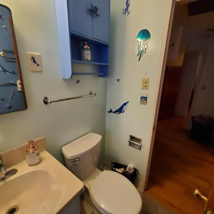 Sweet 2 Bedroom Close To U Of Oregon & Track! Юджин Екстер'єр фото